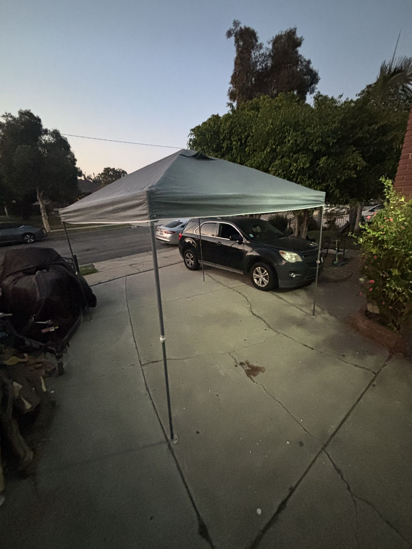 Canopy