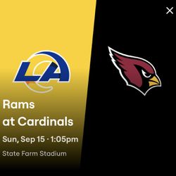6 Tickets Section 117 Row 11 Lower Level With Orange Parking Pass To Rams And Cardinals.  Asking $175 Each.