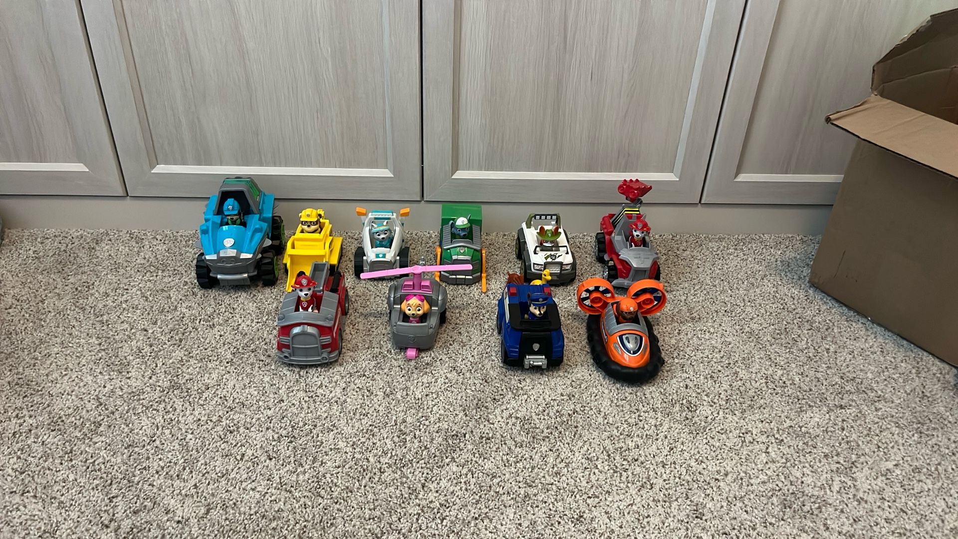 Paw Patrol - Pups & Their Vehicles