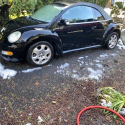 2003 Volkswagen Beetle Convertible Automatic 