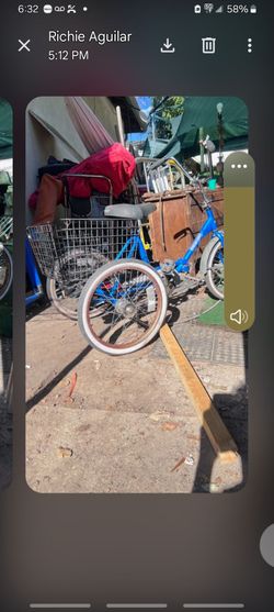 3 WHEEL ADULT TRIKE