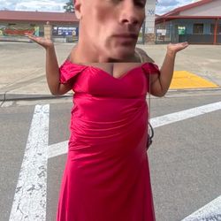 Maggie’s Bridal Prom Dress. Red/burgundy. 3x 