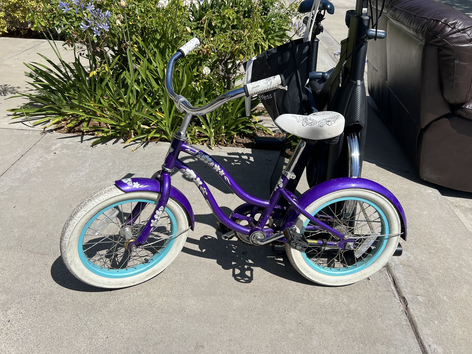 Free Loveseat, Beach Cruiser (Child) Stationary Bike With TV
