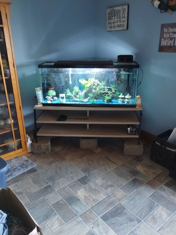 55 Gallon Aquarium