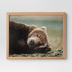 New 20" x 16" Bear Photography Framed Art Brown - Threshold™: Frame, Animal Wall