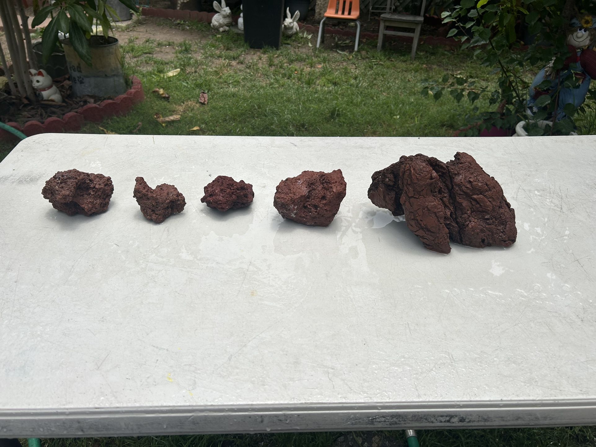 Lava rocks/ aquarium rocks