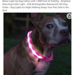 LED Rechargeable Dog Collar Sz XS