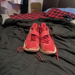 Adidas Basketball Shoes