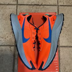 Nike Pegasus Trail 3 Men’s Size 12.5