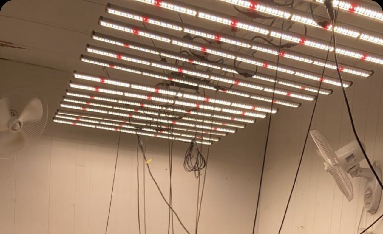 Led lights Full Spectrum By Spectre Led
