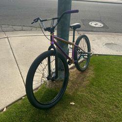 Elite Bmx 26 Inch