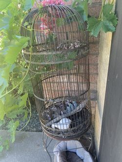 Birdcage 