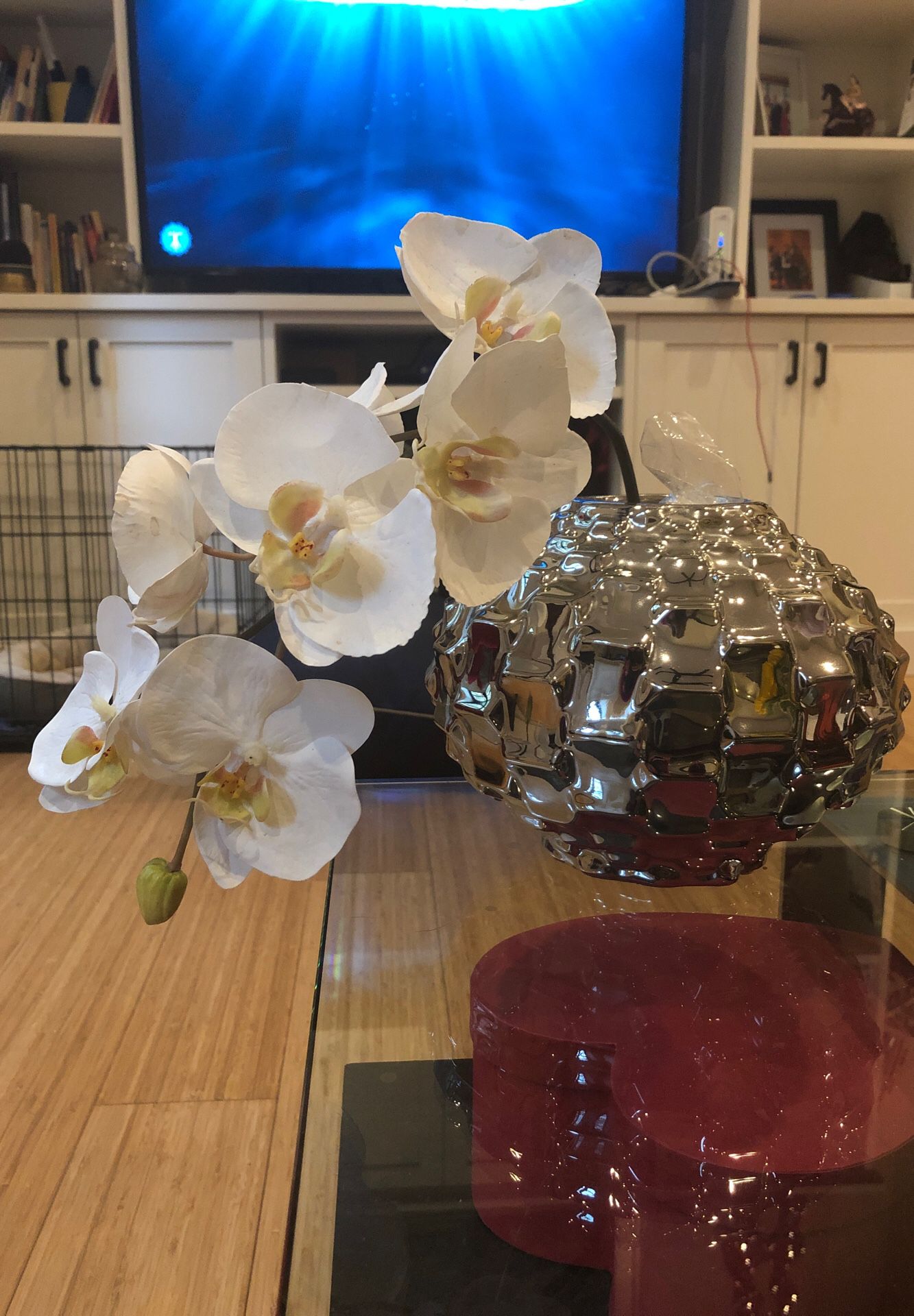 Vase with white orchid (flower isnt real)