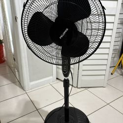 Pedestal Fan