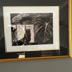 Photograph By Dan Weston