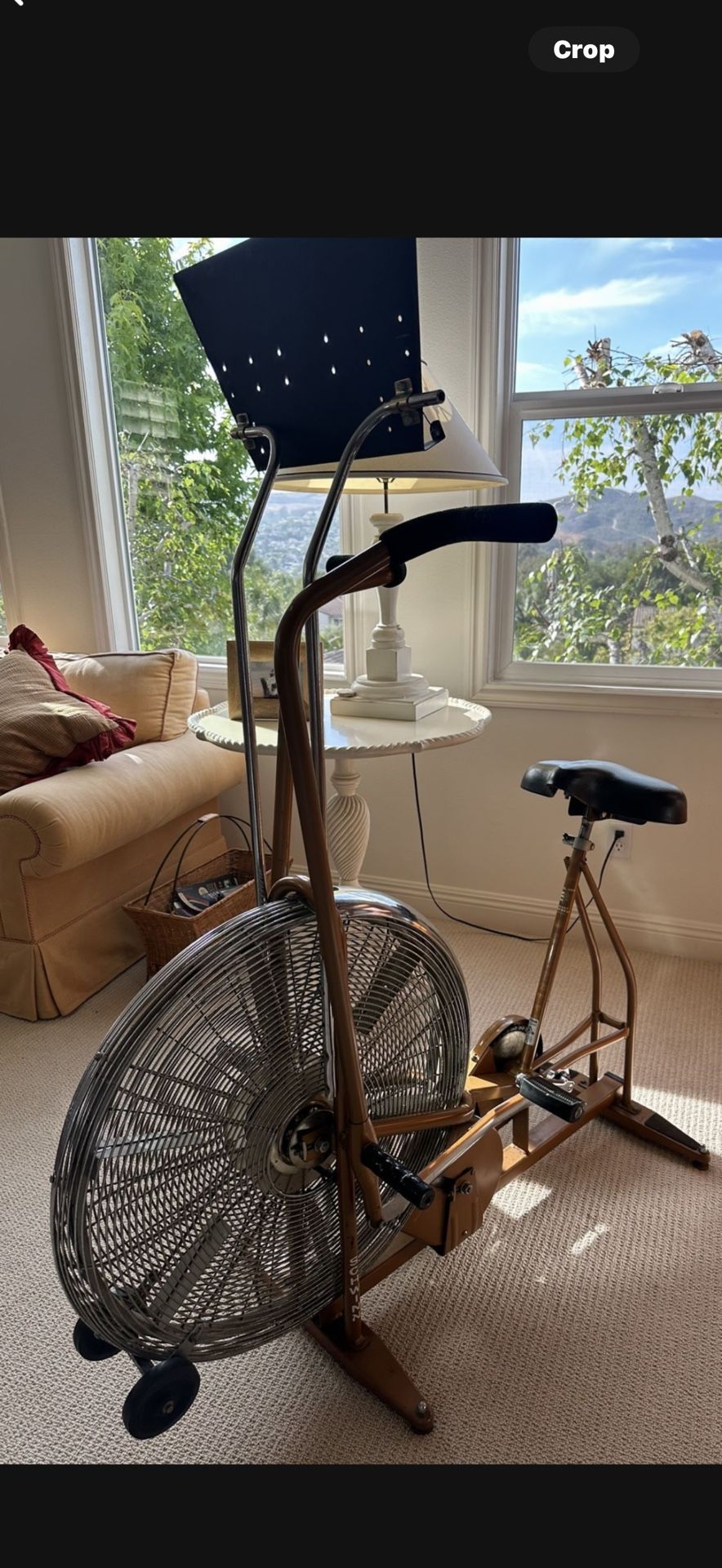 Schwinn Vintage Air Dyne Exercise Bike 🚲 Copper