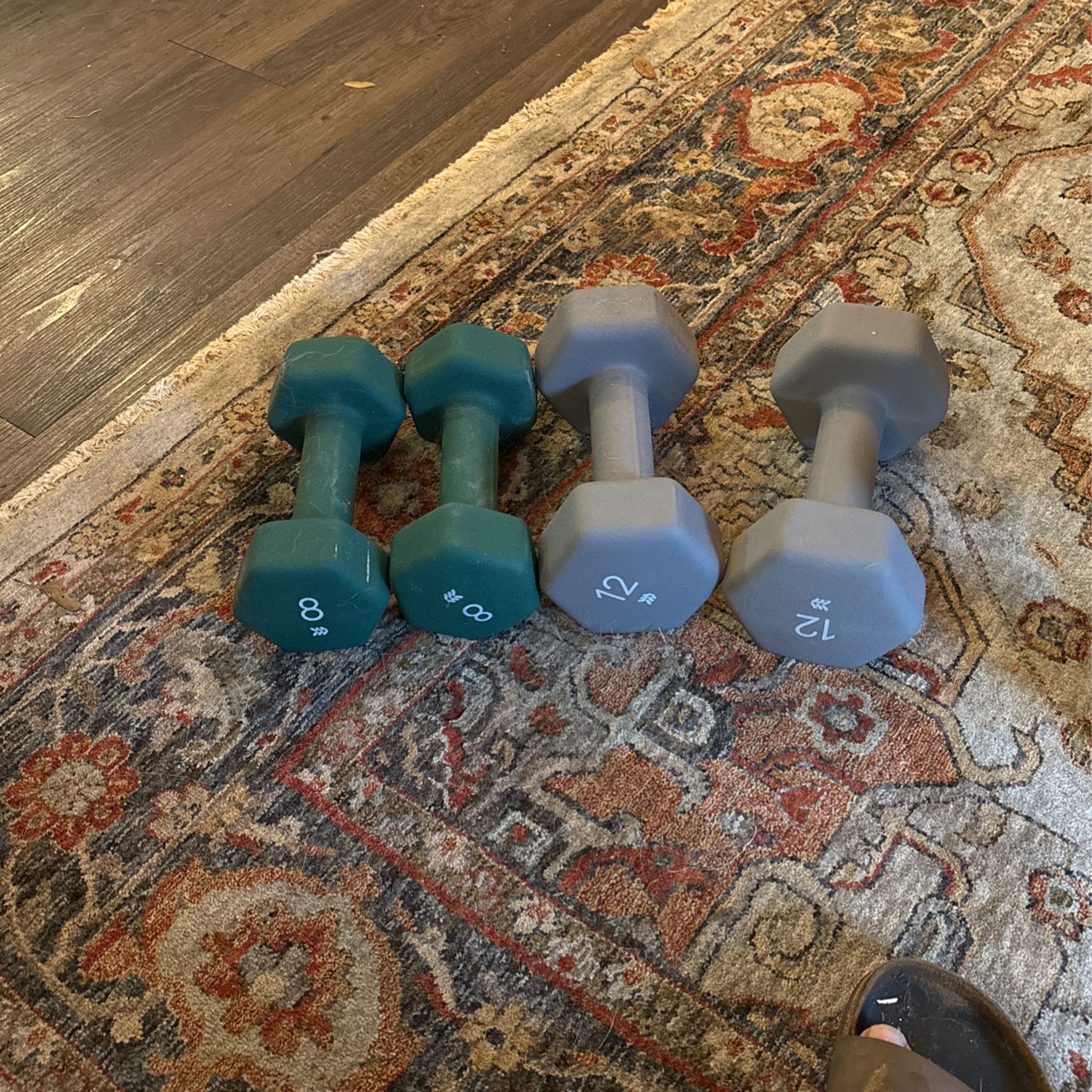 8 & 12 Lb Dumbbell Weights 