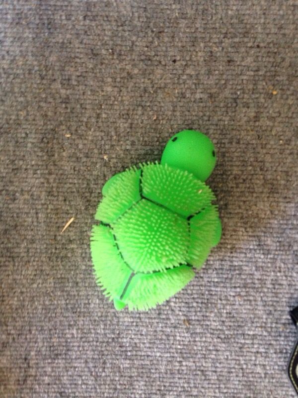 Squeeze Turtle