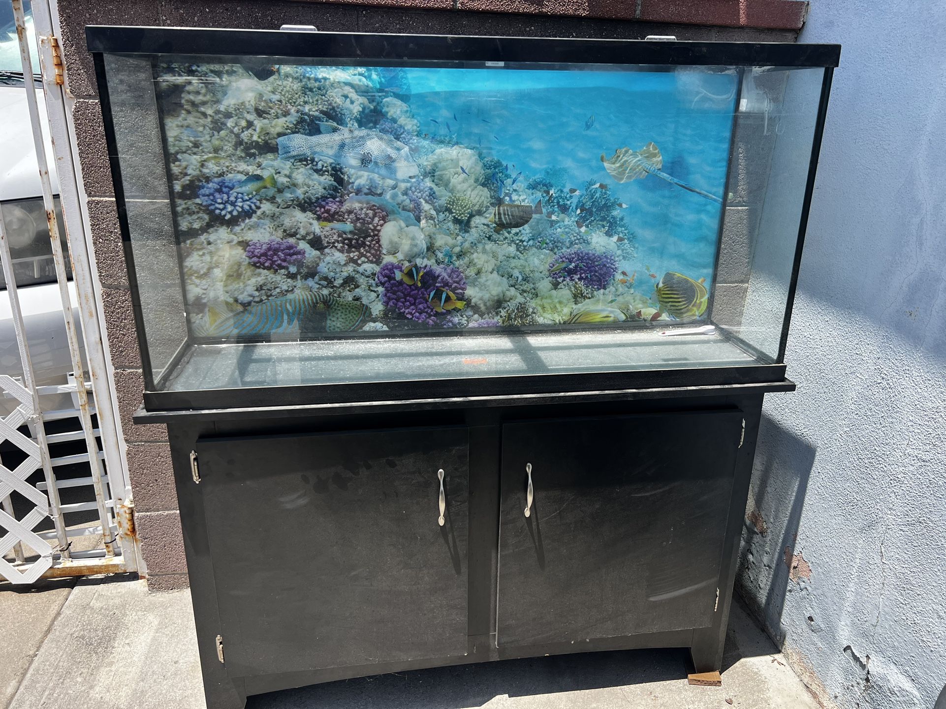 Large Fish Tank And Cabinet + accessories
