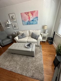 Couch Plus Whole Living Room Set