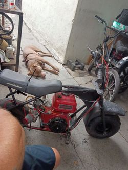 Mini bike