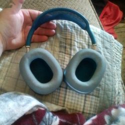 Apple Headphones