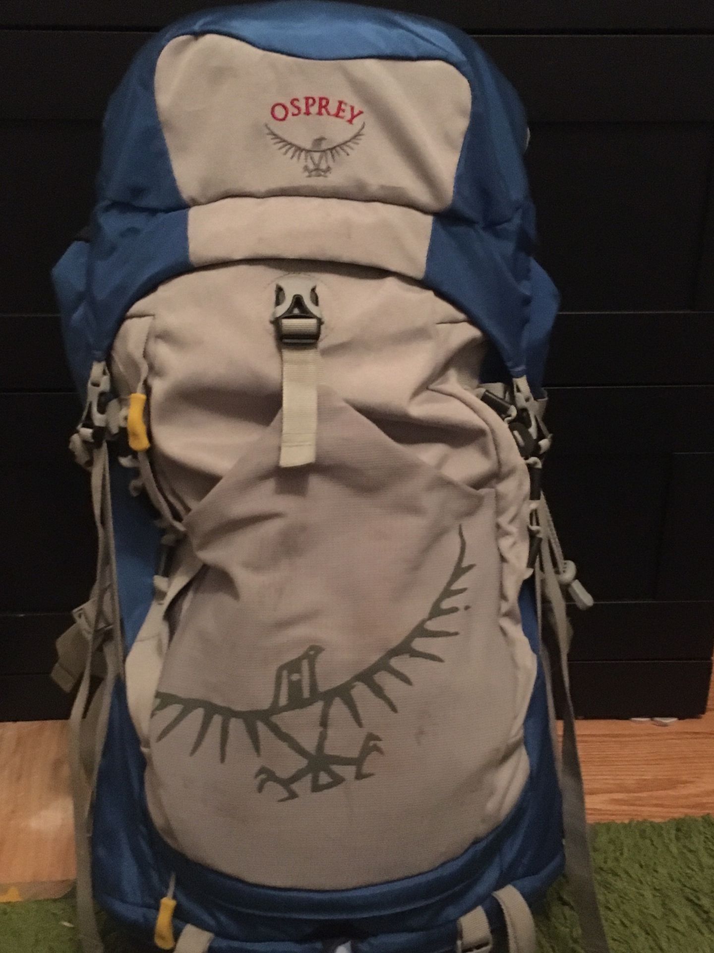 Osprey Youth Ace 48 Backpack