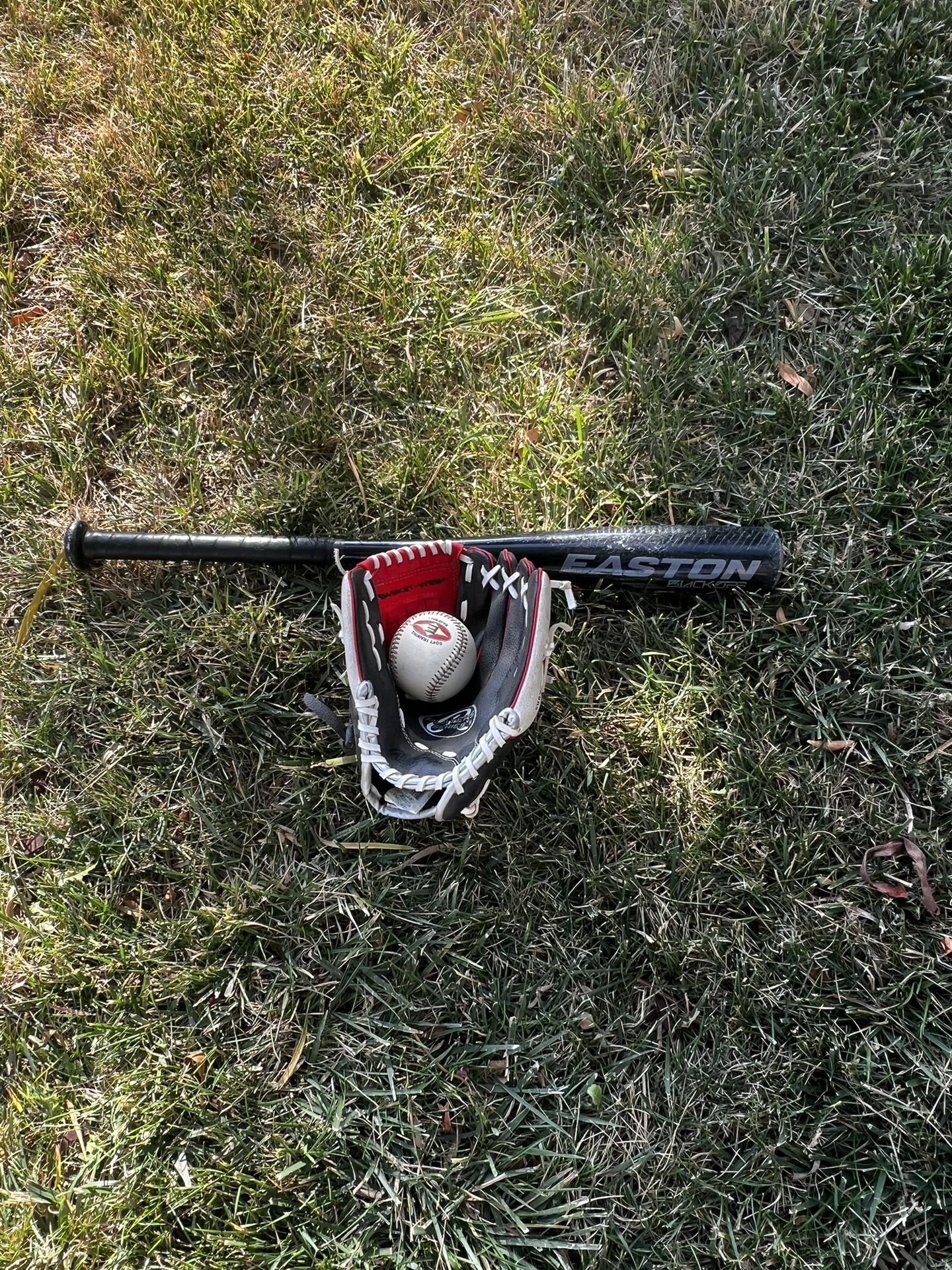 Baseball Kit: Easton Bat + Rawlings Glove + Ball