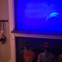 65 Inch Vizio TV For Sale Must Go ASAP 