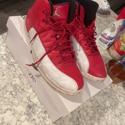 Jordan 12 