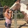 Horse Crazy