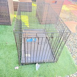 Dog Crate