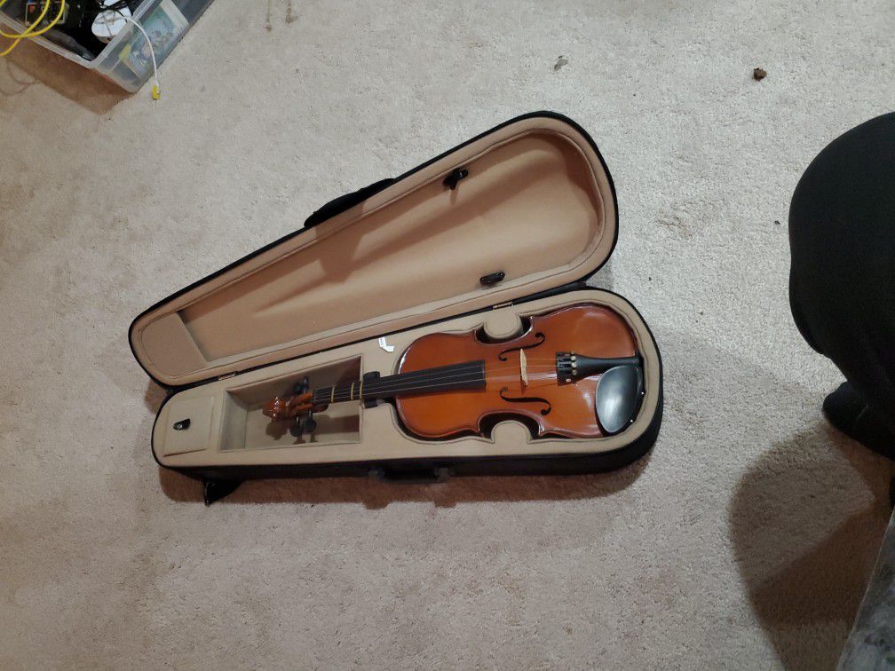Palatino Violin: Vn-350