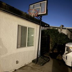 Basketball Hoop Lifetime 