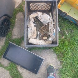 Box Full Of Nails Various