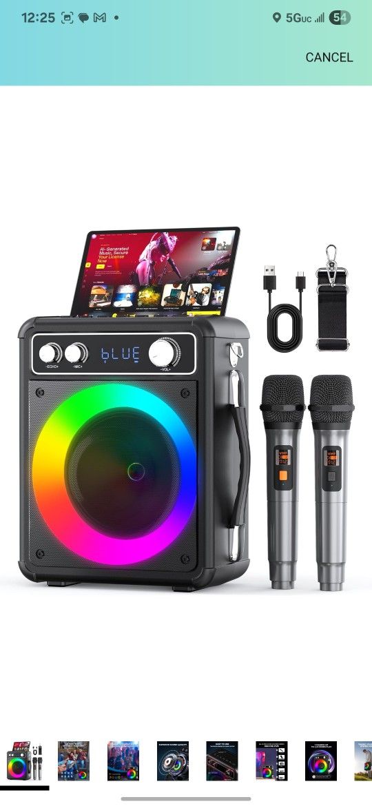 Portable Karaoke Machine Whig 2 Microphone & Bluetooth