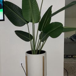 Plant (not real) + Stand 