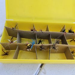 Assorted Fishing Flies 