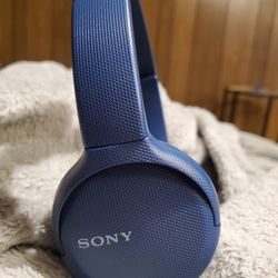 Sony Headphones 