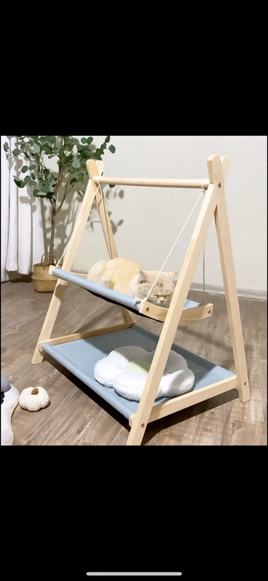 cat bed/swing