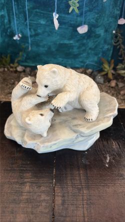 Polar expedition collection