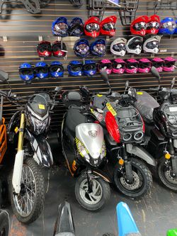Moped, bikes, ATV, go kart