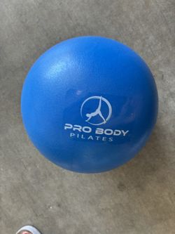 10 Pilates Blue Balls ($10/ball)
