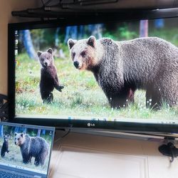 42” LG TV model 42LD450C