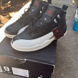 2011 Jordan 12 Playoffs