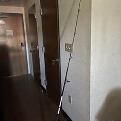 Fishing Pole 