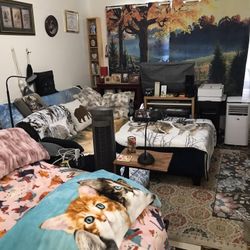 Shelves Compact, Tall, Adjustible Shelves For Cds, Pictures, And Ornaments