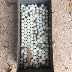 Marbles 