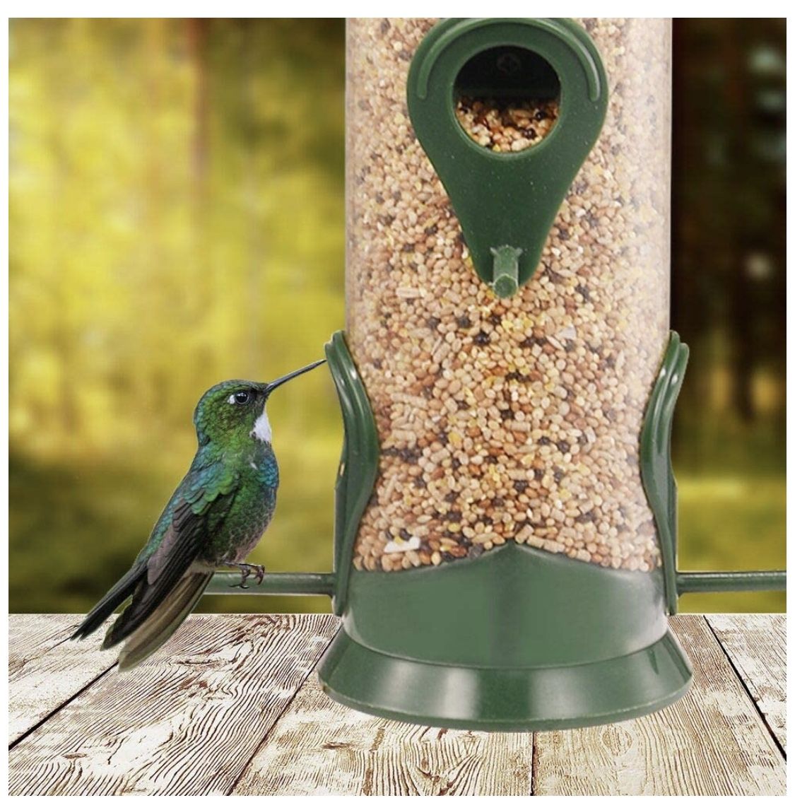 GARDEN&PET Tube Bird Feeder with 6 Feeding Ports, Premium Hard Plastic