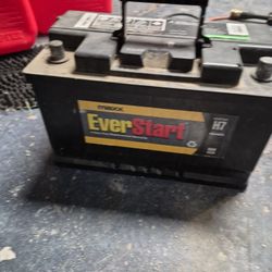 Everstart Battery 